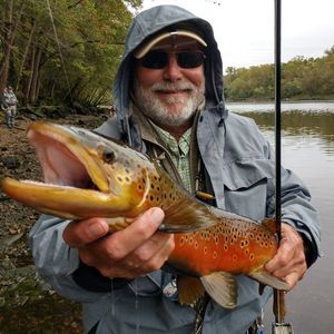 Meet your Posher, Michael